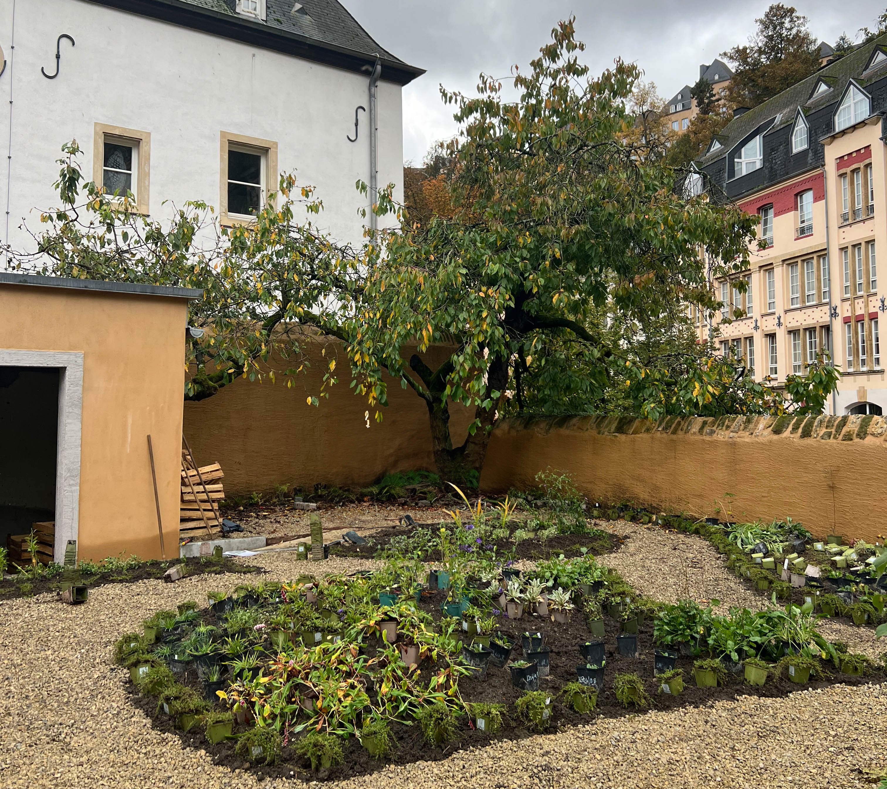 Visites jardin: Sous le cerisier