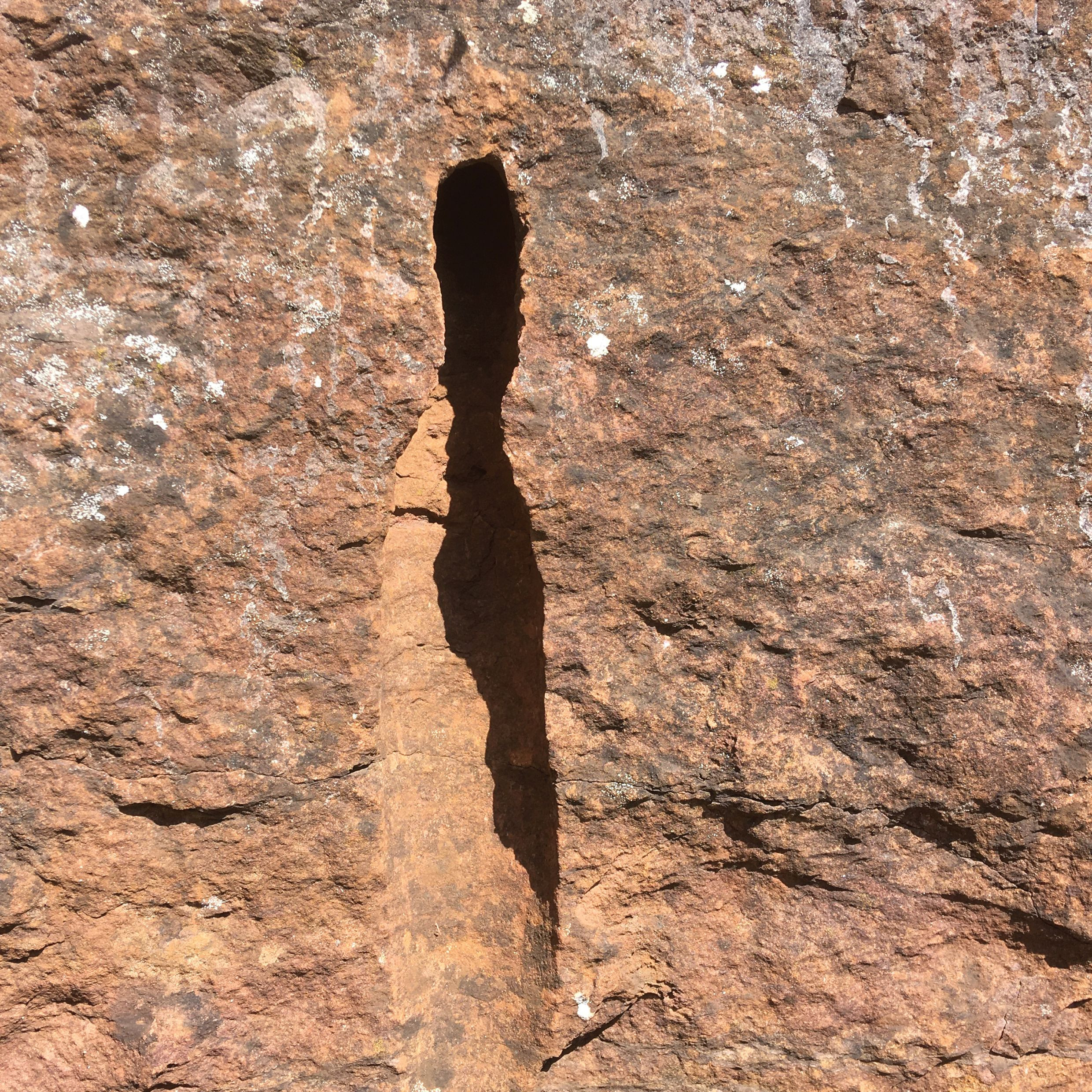 les-murs-parlent2_main