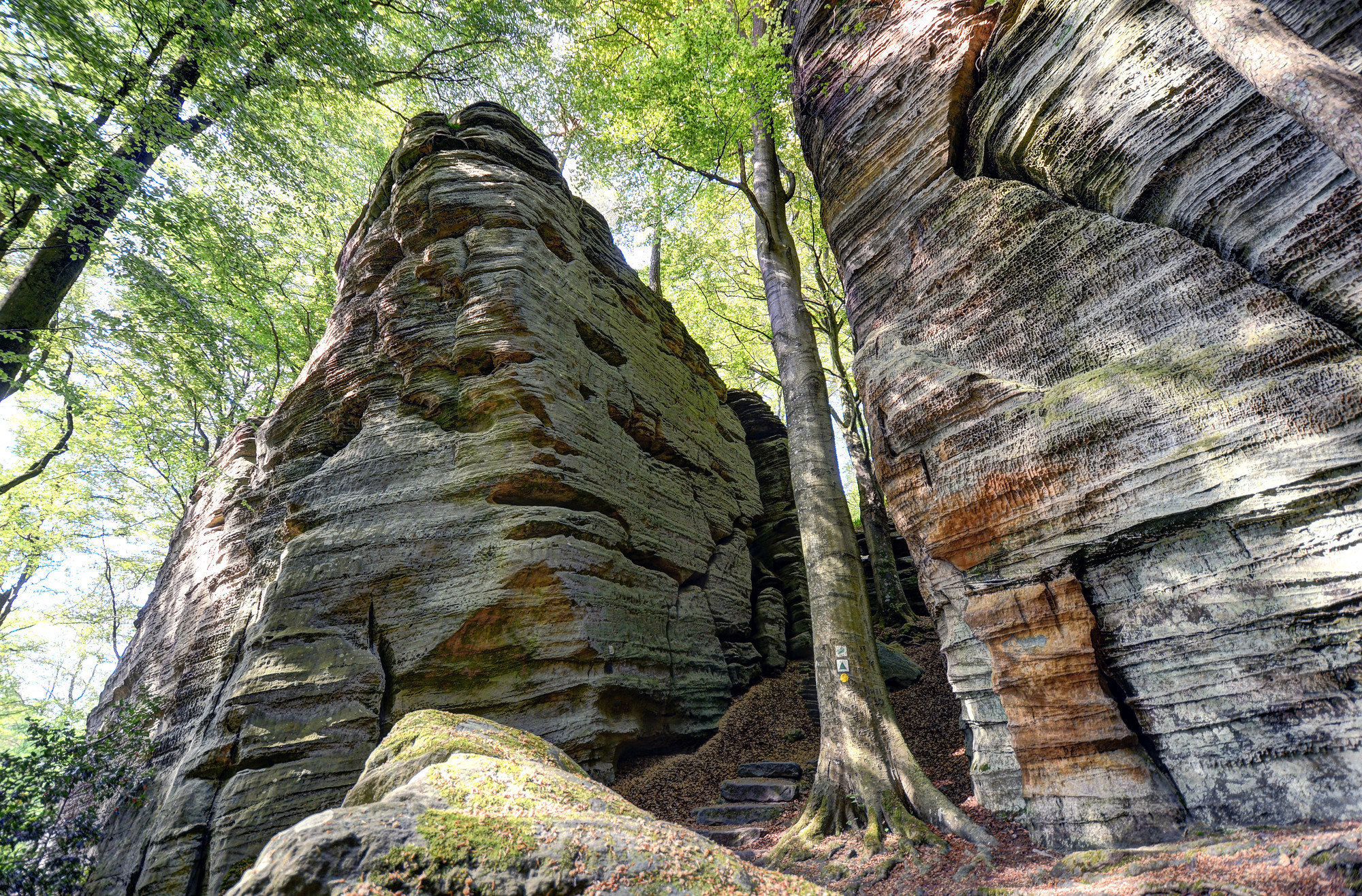 RS1879_Fielitz-Berdorf-4-_lpr_main