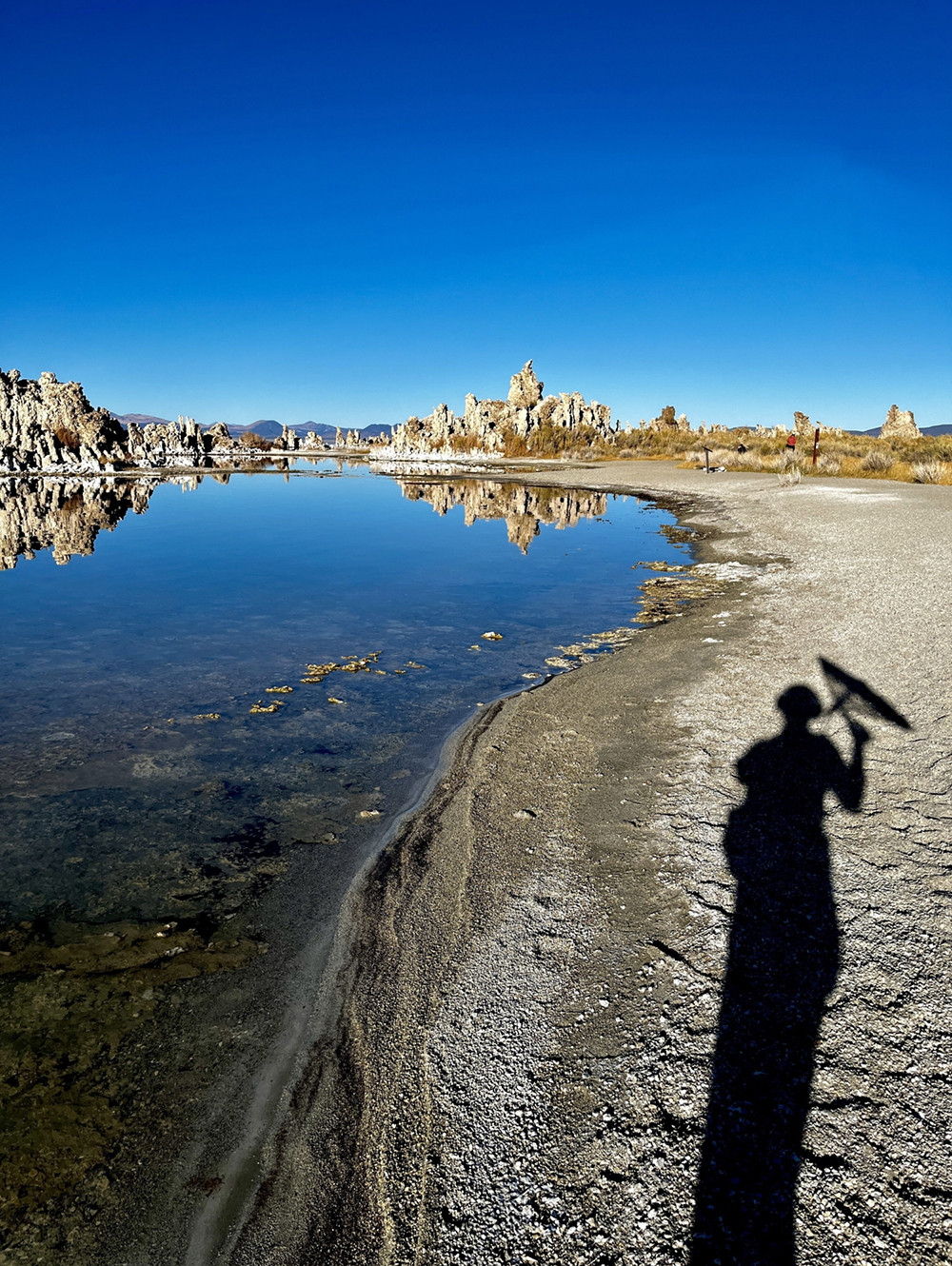 berrigan_mono_lake_main