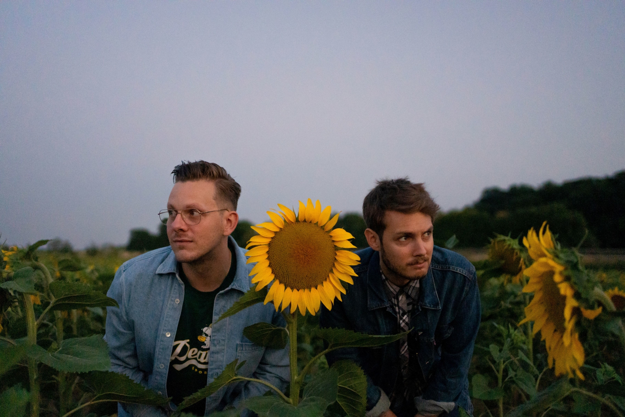 The_Cookie_Jar_Complot-sunflower_WEB_main