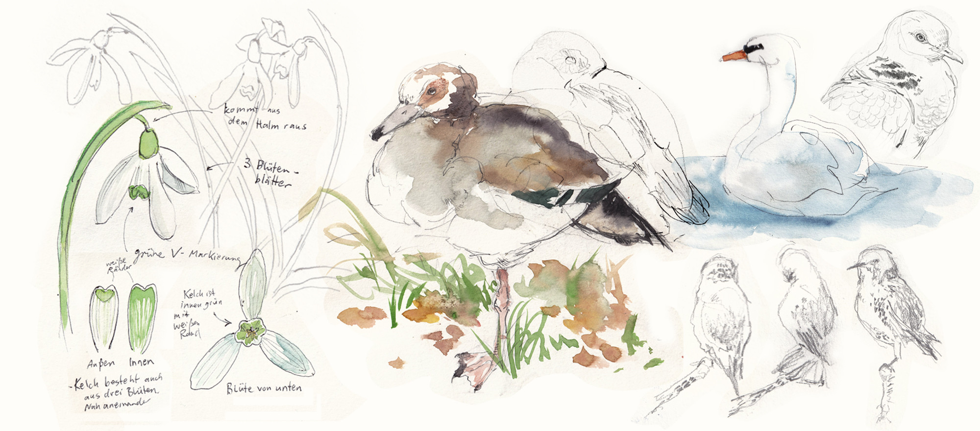 Field Sketching: exploring the outdoors with a sketchbook