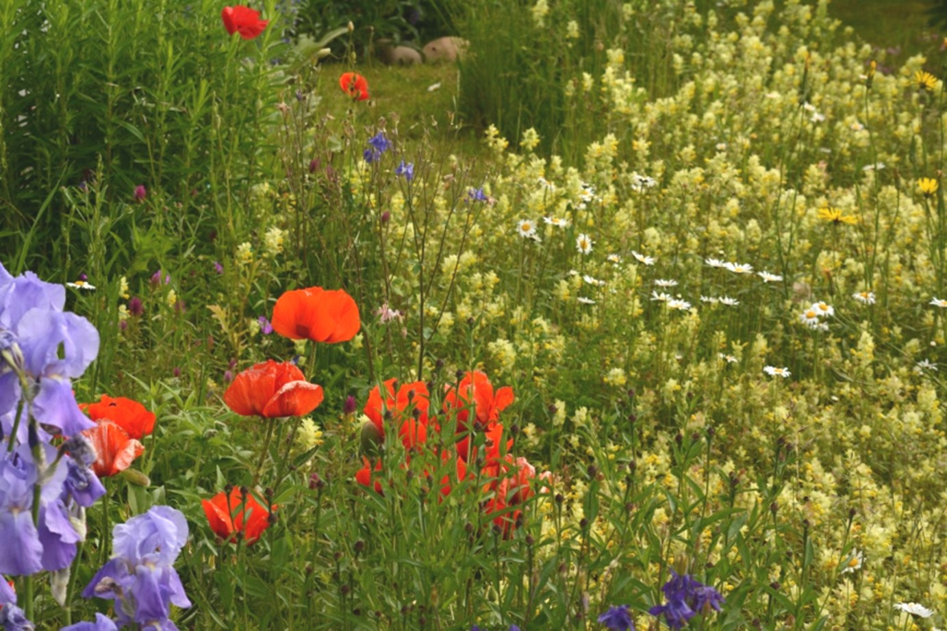 Konferenz - Biodiversität und menschliches Wohlbefinden