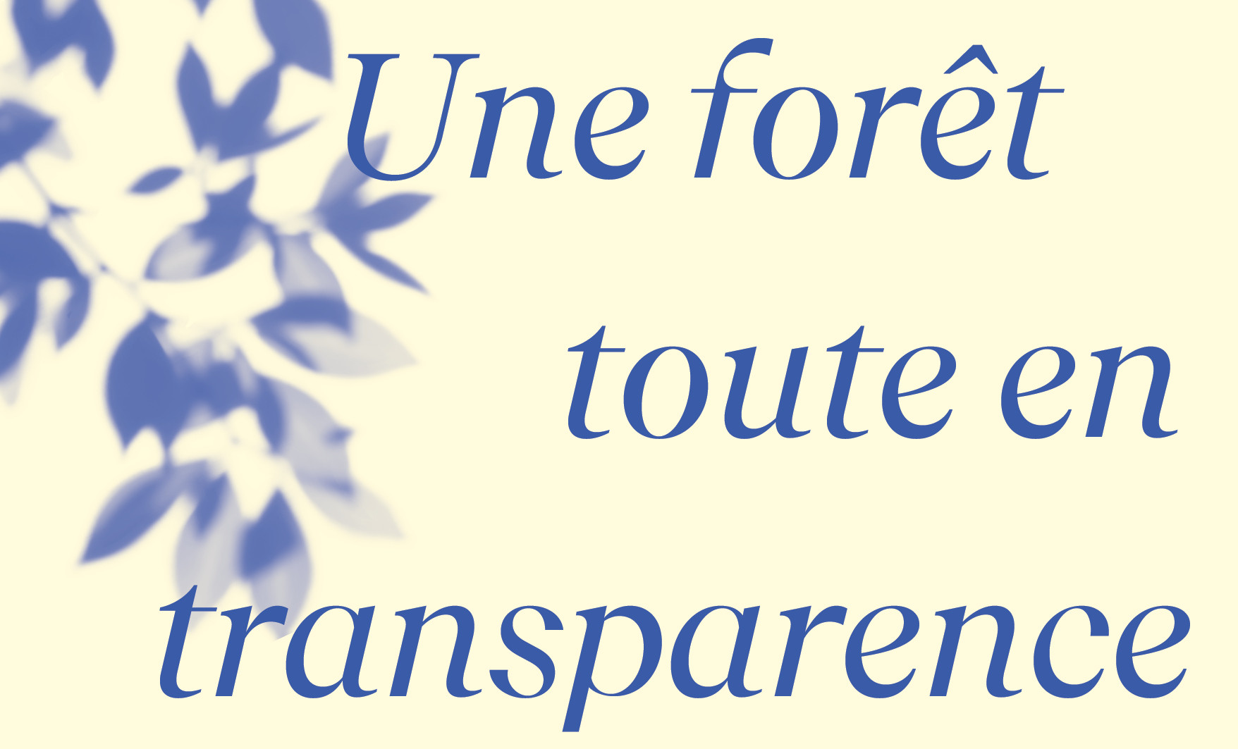 CC-Foret_Banners11_main