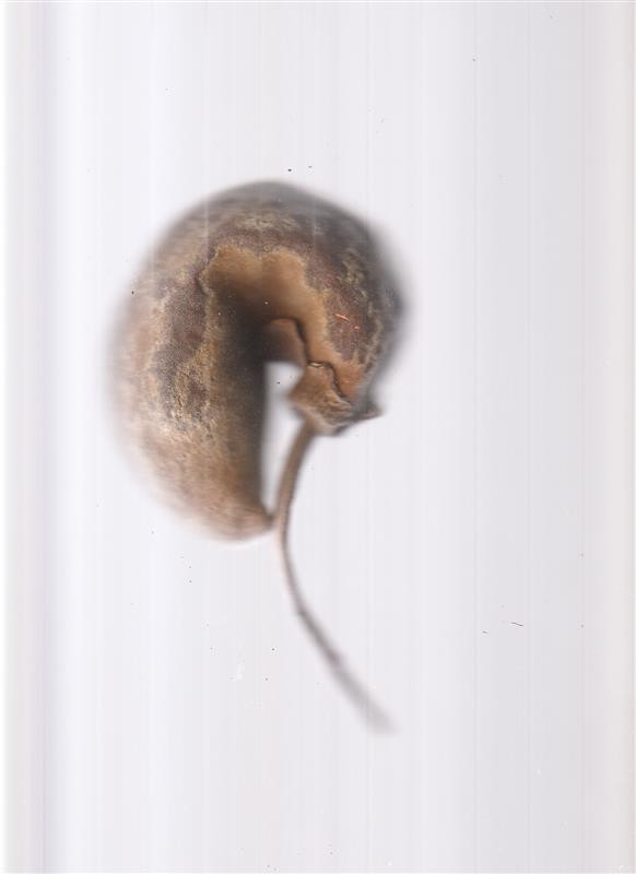J0012060_v01_main