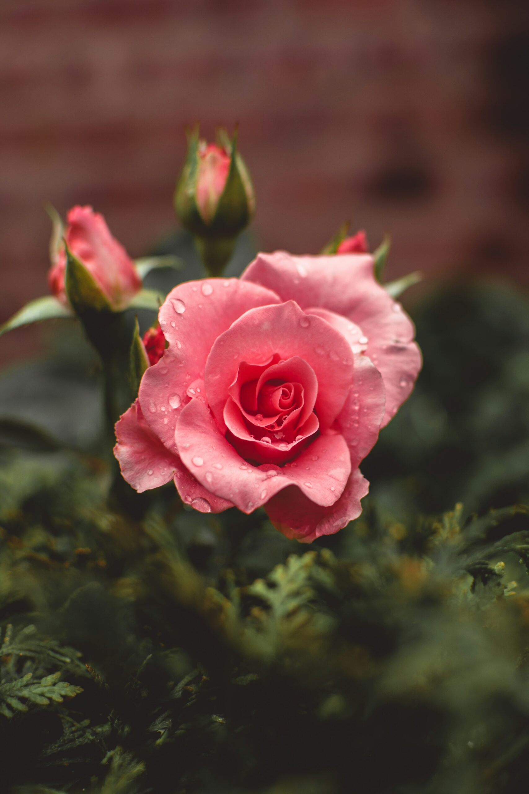 tiffany-chan-ptgjrj9-ld8-unsplash-scaled_main
