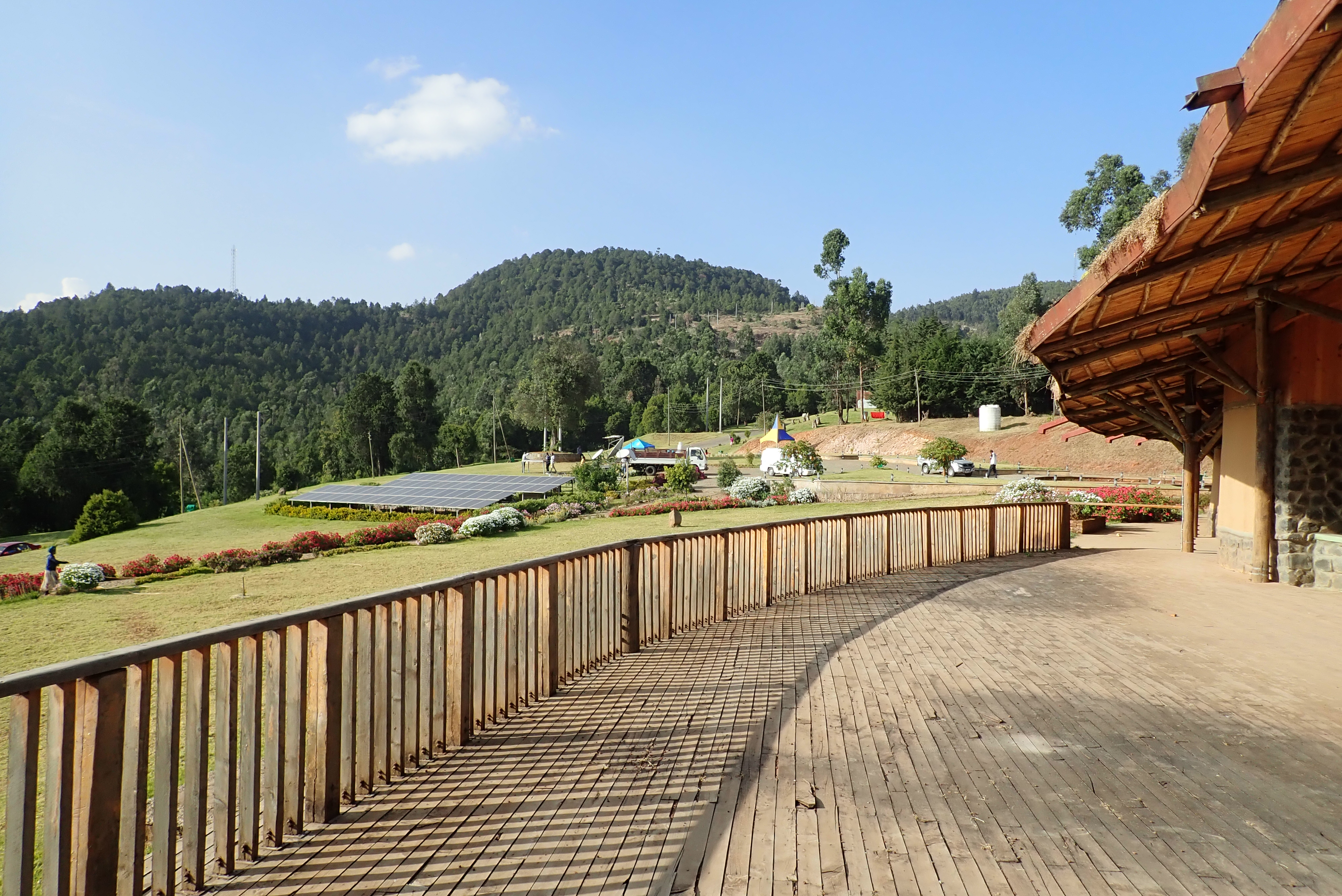 Conference - Ethiopia’s green treasures