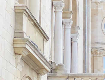 Cercle-Rolph_main