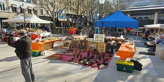 20210424_090501_HDR-copy_main