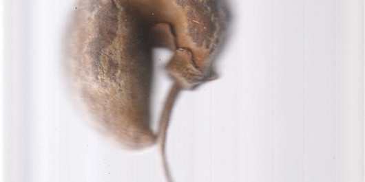 J0012060_v01_main