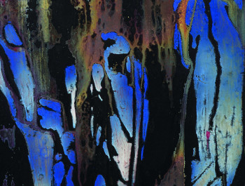 Der Alchemist