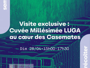 Exclusive tour: Cuvée Millésimée LUGA at the heart of the Casemates