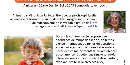 Conf-Atelier_IFS_Jaillette_Oct_2025_1