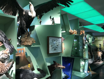 Guided tour of the permanent exhibition