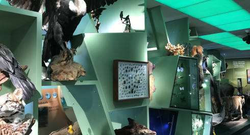 Guided tour of the permanent exhibition