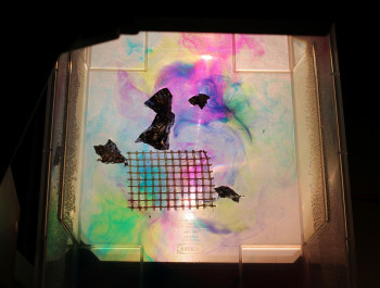 Color-20Drop_main