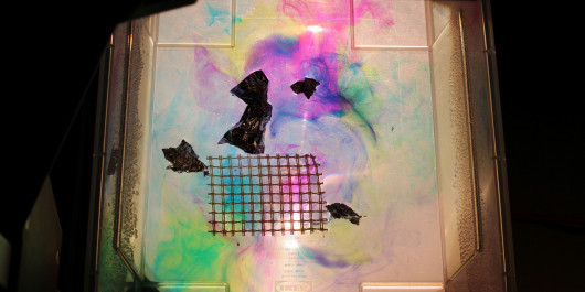 Color-20Drop_main