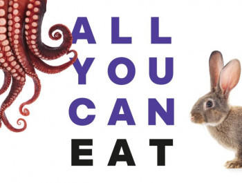 All you can eat - humans and their food