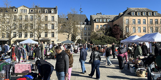 IMG_3832-copy