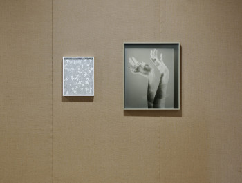 2025-02-12_MUDAM_Lisa-Oppenheim-026x_main