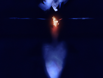 ENYPNION-20VISUAL_main