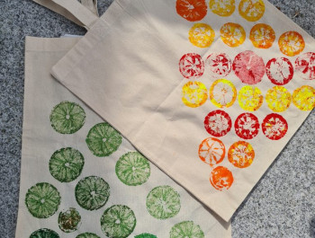 Citrus-Fruit-Bag-768x1024_main