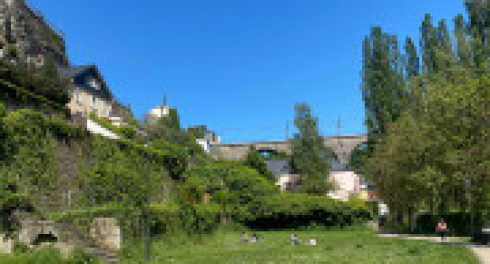 Gardens and parks