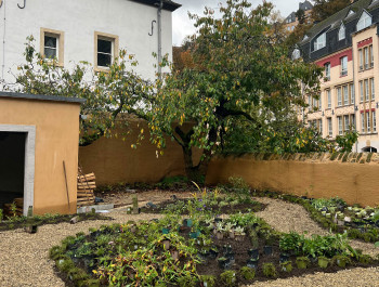 Visites jardin: Sous le cerisier