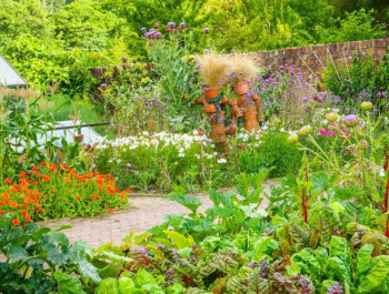 Atelier Plantes vivaces: Un jardinage sans tracas