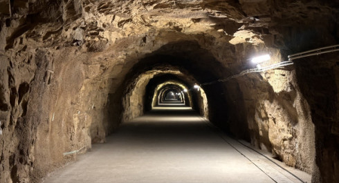The Lower World: An Exceptional Exhibition at the Aquatunnel