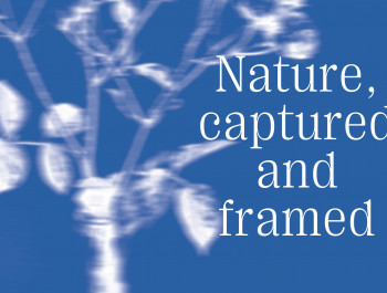 20250520_Nature-captured-framed_843-510_main