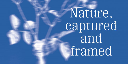 20250520_Nature-captured-framed_843-510_main