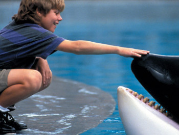 Free Willy (Family Screenings)