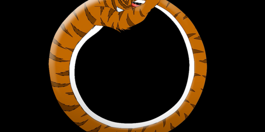 22-Tiger-tail-video-50-seconds-loop_1_main