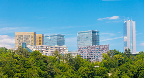 Führung Kuebebierg