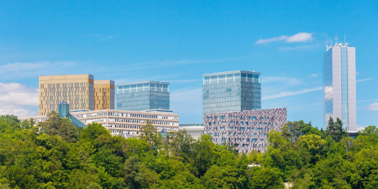 sfeczsfeczjpg-scaled_main