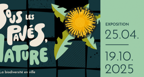 Guided tours of the exhibition "Sous les pavés, la nature"