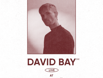De-Gudde-Wellen-david-bay_main