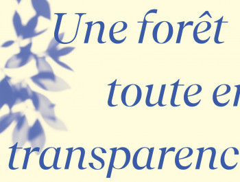 CC-Foret_Banners11_main