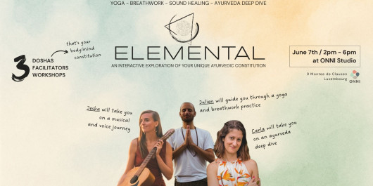 ELEMENTAL-ECHO-Cover_main