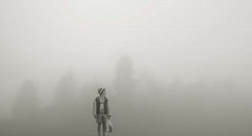 Im-Wald_Im-Nebel_2020_main