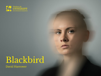 Blackbird (D. Harrower)