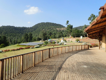 Conference - Ethiopia’s green treasures