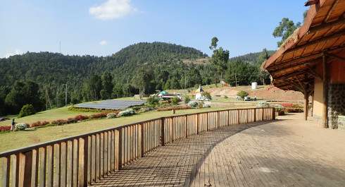 Conference - Ethiopia’s green treasures