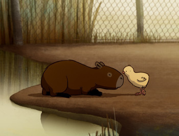 LARRIVEE-DES-CAPYBARAS-Autour-de-Minuit-Estudio-Palermo-et-Pajaro_main