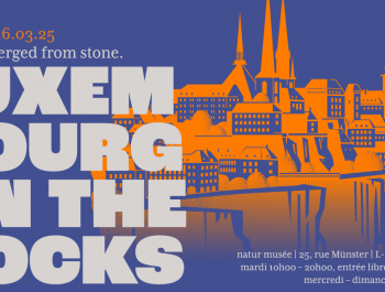 Luxembourg on the Rocks