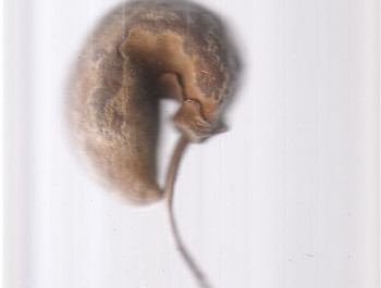 J0012060_v01_main