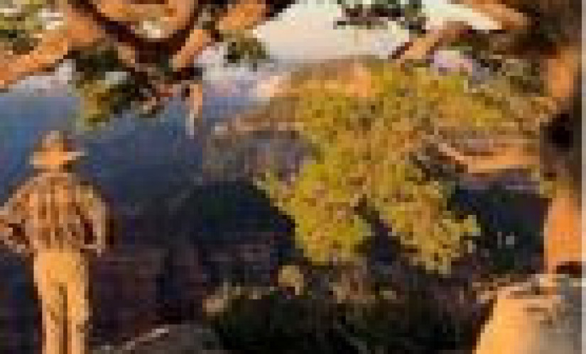 A1