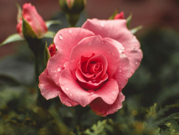 tiffany-chan-ptgjrj9-ld8-unsplash-scaled_main