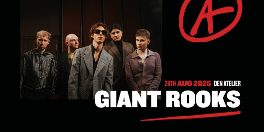 Giant-Rooks_main
